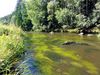 Gewinnermotiv des Fotowettbewerbs „Wald, Wärme, Leben“